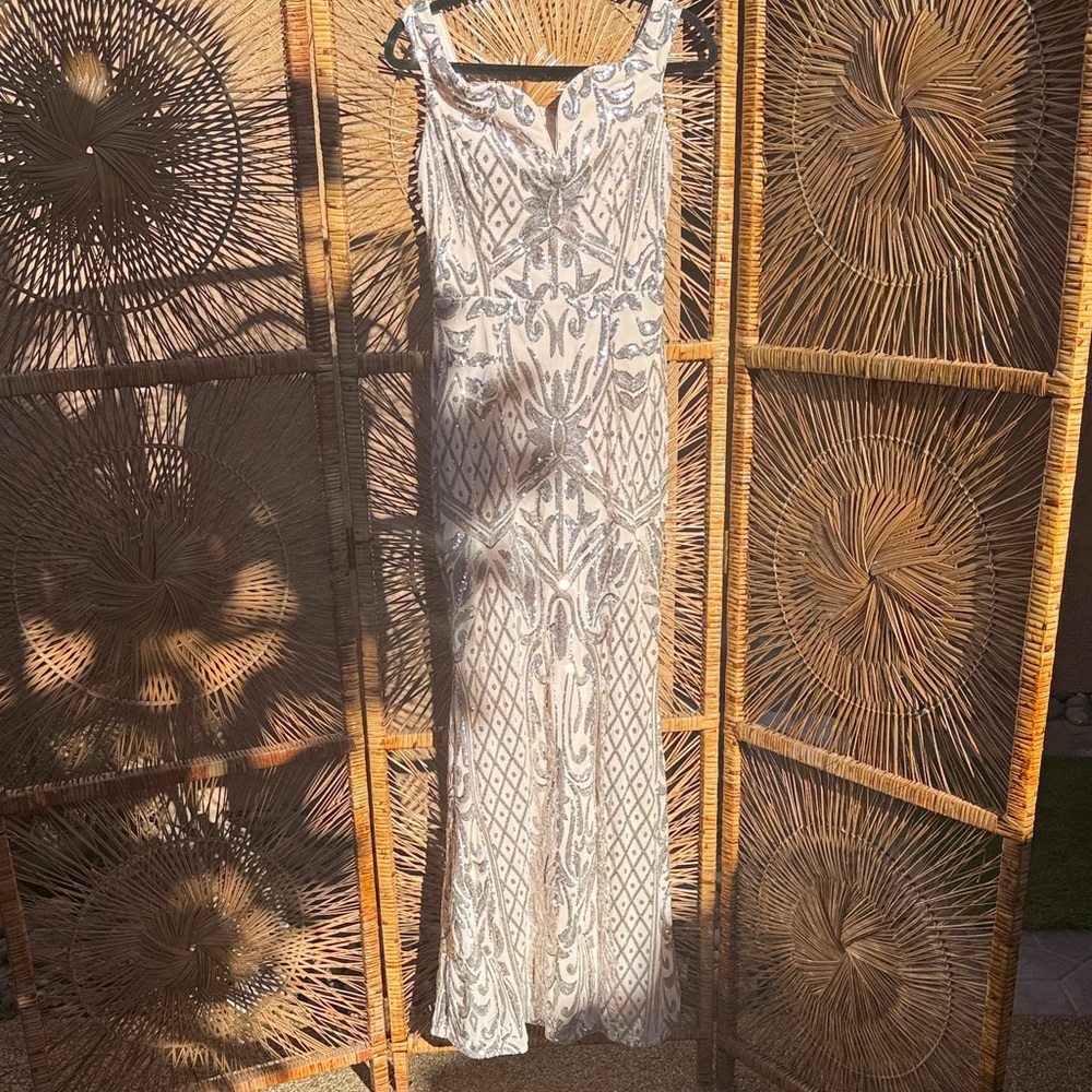 Blush and silver formal gown